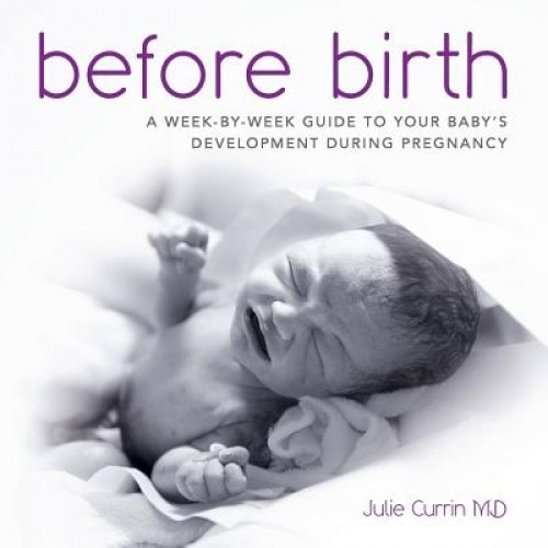 Before Birth: A Week-By-Week Guide to Your Baby's Development During Pregnancy, Julie Currin MD (Author)
