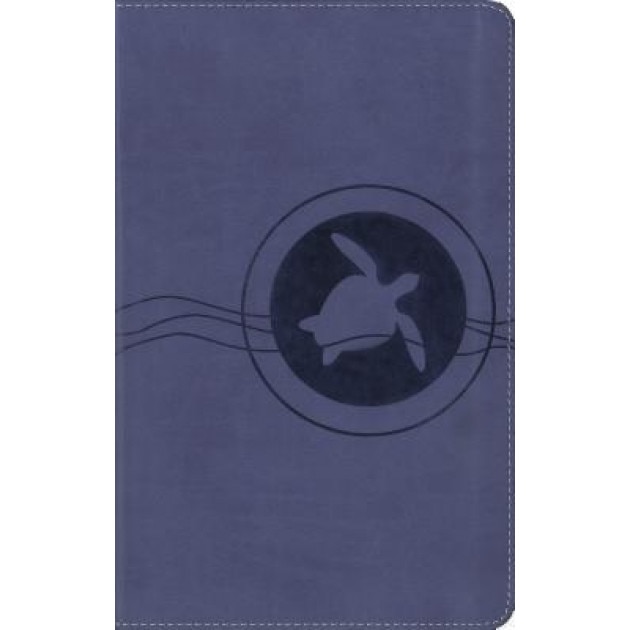 Adventure Bible for Early Readers-NIRV, Lawrence O. Richards (Author)