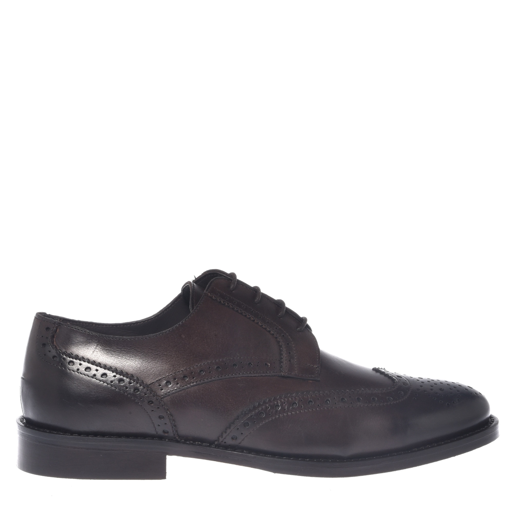 Baldinini, Pantofi brogue din piele cu model uni, Maro, 40