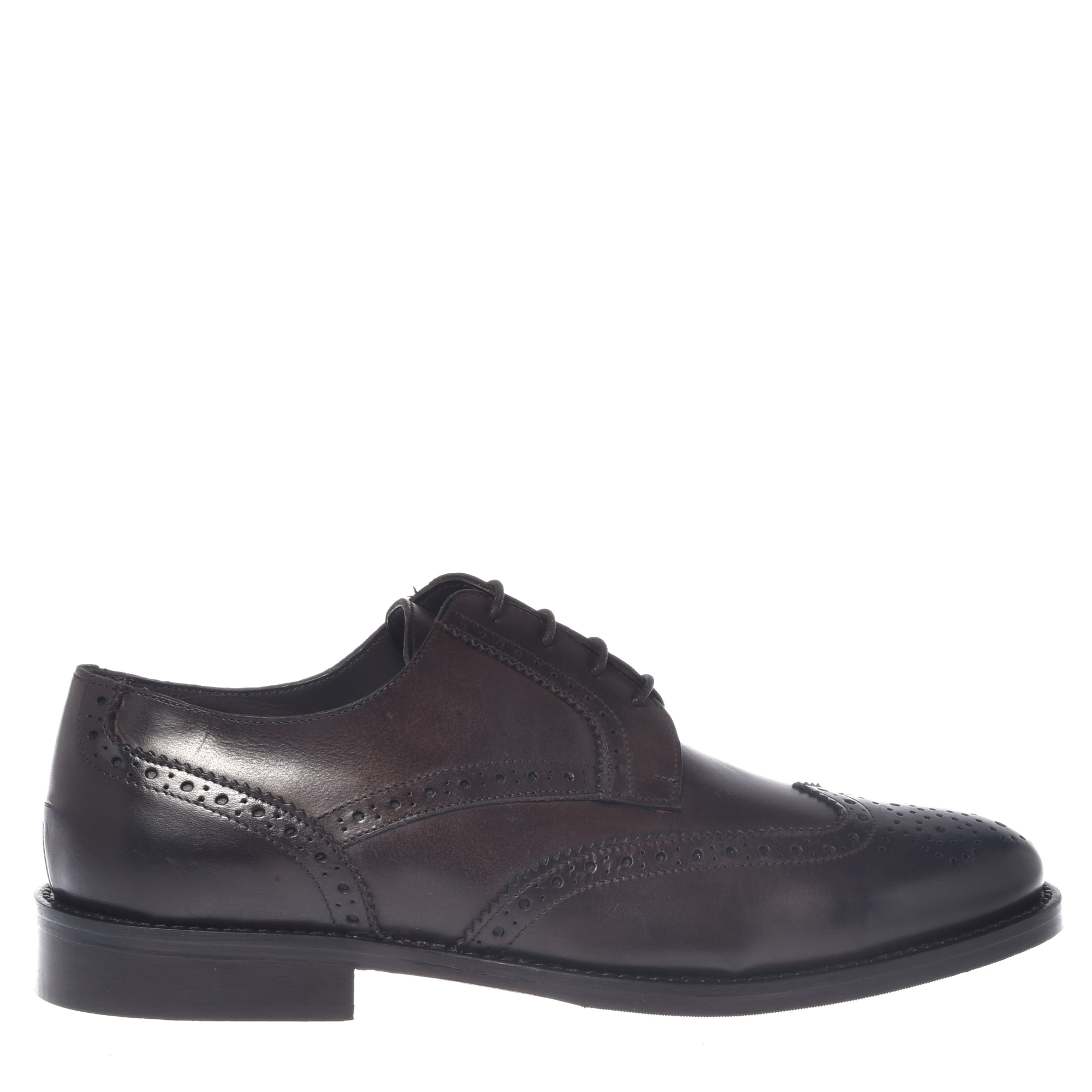 Baldinini, Pantofi brogue din piele cu model uni, Maro, 45
