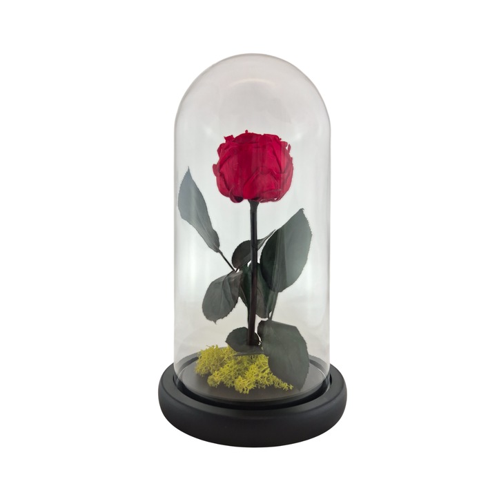 Cupola de sticla cu trandafir de Gradina criogenat Rosu si licheni Verde Deschis, 25x12cm, FloraVelle