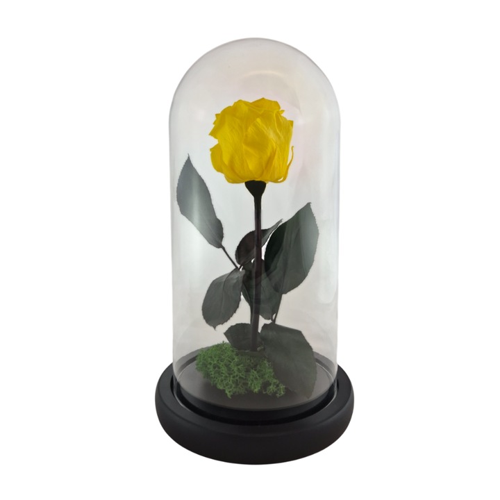 Cupola de sticla cu trandafir criogenat Galben Aprins, coada criogenata si licheni Verde, 25x12cm, FloraVelle