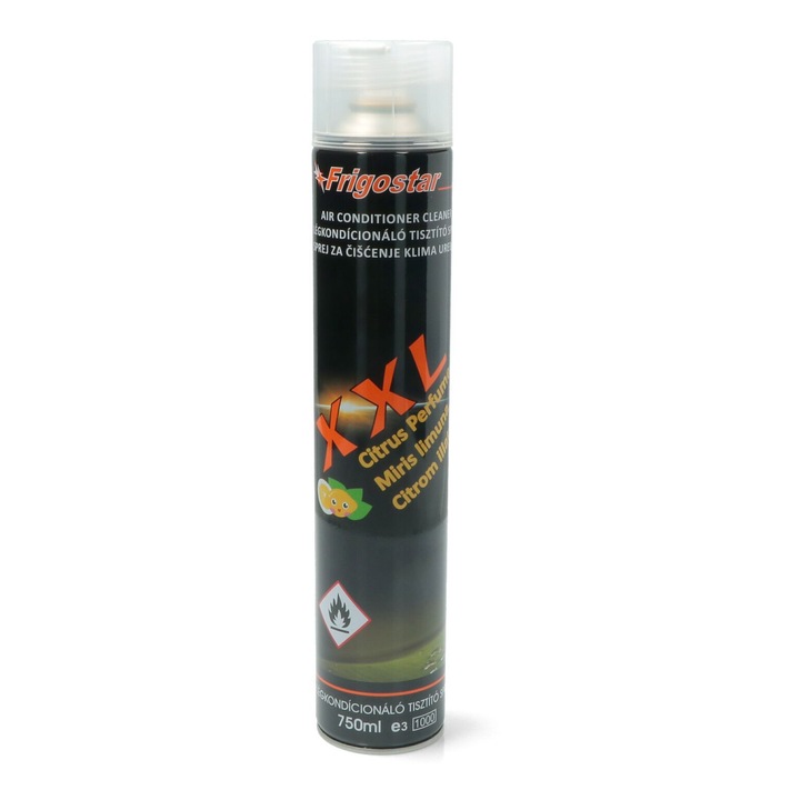 Spray igienizare si dezinfectare aer conditionat, Frigostar, XXL, 750 ml