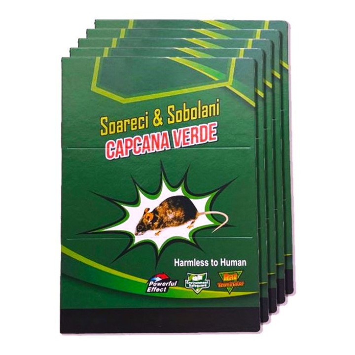 Set de 20 Capcane cu Lipici pentru Soareci, Sobolani si Insecte, din Carton, Tip Carte, Adeziv Puternic, Fara Miros, Reutilizabile, pentru Exterior/Interior, Non-Toxice, Verde