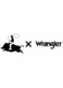 Мъжки панталони, Wrangler, Regular Chino, черен, памук