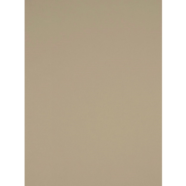 Hartie decorativa, Netuno, Aster Color, Bej inchis Shitake, Neteda, Mata, 225g/m², A4, Ideala pentru Proiecte de Lux si Carton, Ecologica, Barvata in Masa, 20 buc