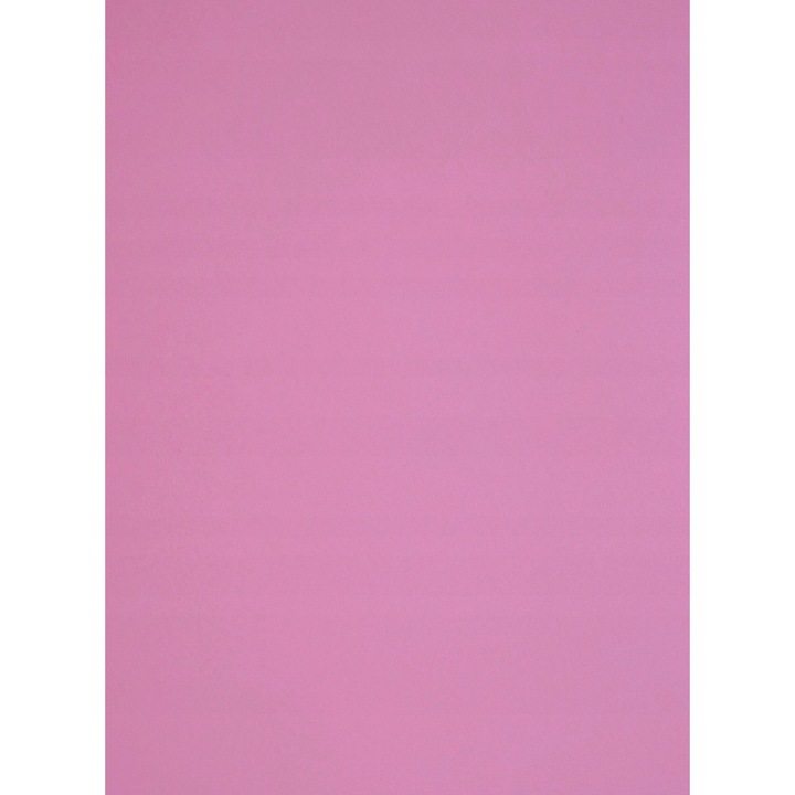 Hartie decorativa, Netuno, Aster Color, Roz Bubblegum, Neteda, Mata, 225g/m², A4, Ideala pentru Proiecte de Lux si Carton, Ecologica, Barvata in Masa, 20 buc