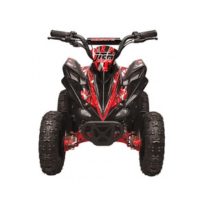 ATV si UTV