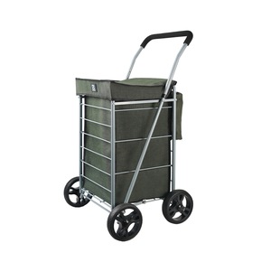 Carucioare pentru cumparaturi