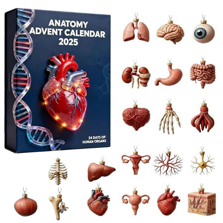 Адвент календар Анатомия 2025, 24 акрилни топки за Коледа, Декоративен комплект