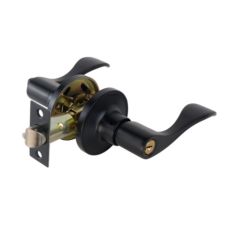 Broasca de usa cu cheie, acces fara cheie, din otel inoxidabil, pentru interior si exterior, neagra, set de accesorii inclus.