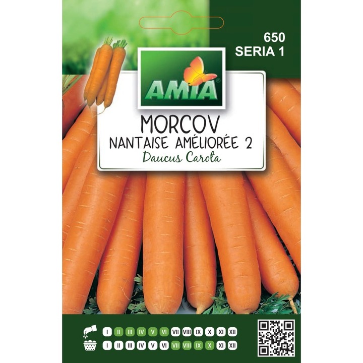 Seminte de morcov Nantaise amelioree, 4 grame