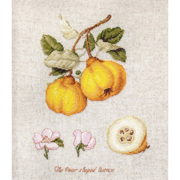 Set de brodat in cruciulita Luca-S BL22430 - "Gutui in forma de para" 17x22.5 cm