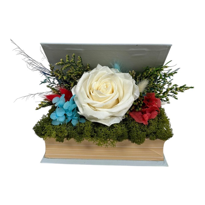 Carte cu trandafir criogenat și plante stabilizate, Flori, D ART FLOWERS, 8 cm, 17x14x15 cm