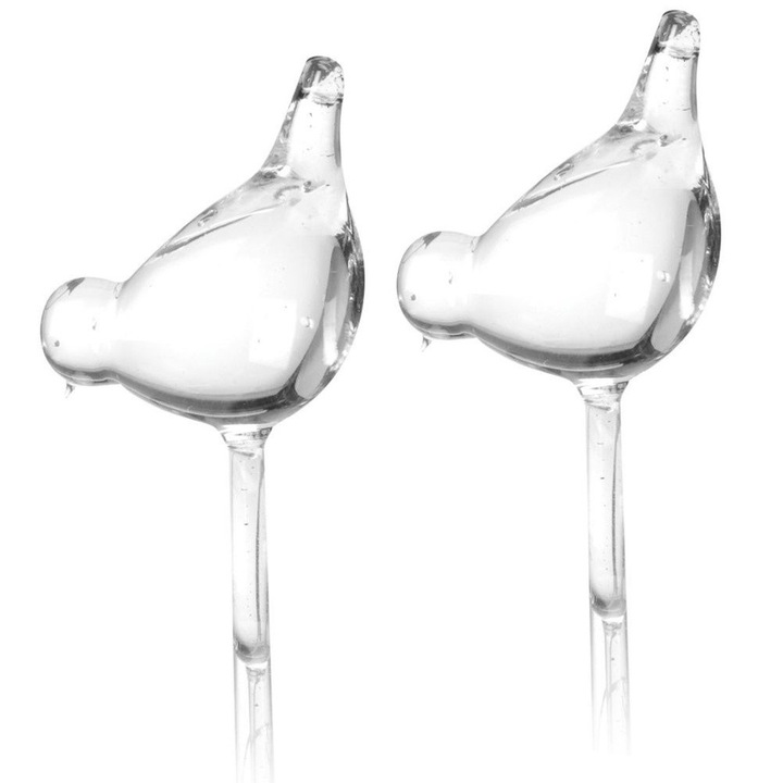 Set 2 Sfere de Udare din Sticla pentru Irigarea Plantelor, 10x6x35cm, 200ml, Transparent, Artemis