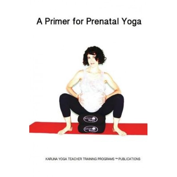 A Primer for Prenatal Yoga: Adaptations and Modifications for Teaching Yoga to Pregnant Students, MS Rie Franklin (Author)