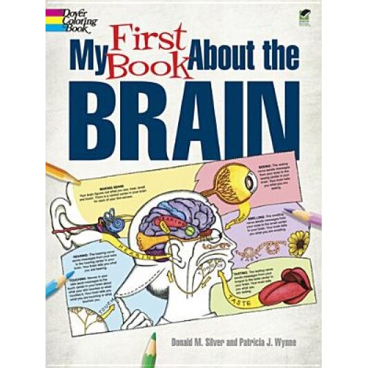 My First Book about the Brain, Donald M. Silver (Author)