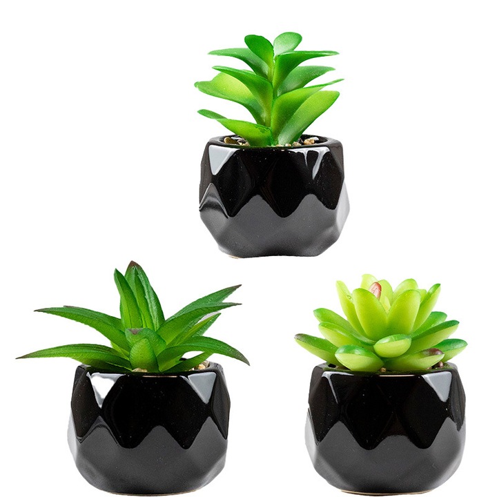 Set de 3 plante artificiale suculente in ghivece mini patrate, multicolor, decor pentru acasa si gradina
