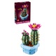 Set de constructie LEGO® Botanicals Cactus inflorit 11509, Flori artificiale, Idee de Cadou pentru Fete si Baieti Pasionati de Jocuri de Constructie Creativa