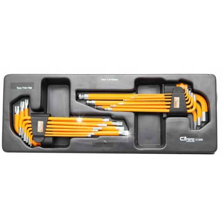 Set chei imbus 1.5-10mm si TORX T10-T50, Richmann EXCLUSIVE, 18 elemente, 150x385mm