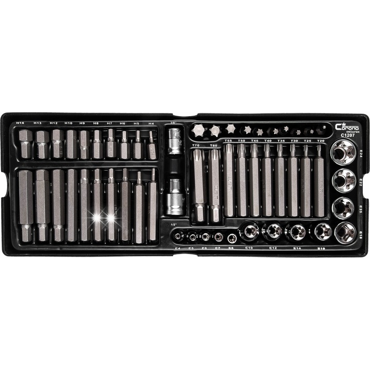 Set 55 biti/chei TORX/imbus RICHMANN, 30mm si 75mm, 385x150mm