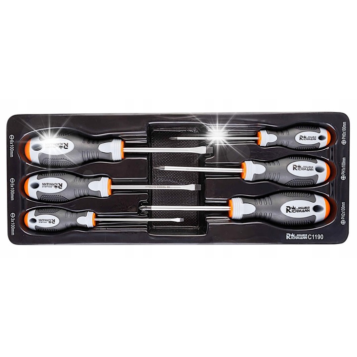Комплект от 6 стандартни отвертки RICHMANN, тип PH, 3 плоски, 3 кръстати, дължина 100 мм, размери 385x150 мм
