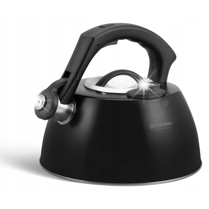 Чайник от неръждаема стомана с вместимост 3.0L, Edenberg, черен / сребрист