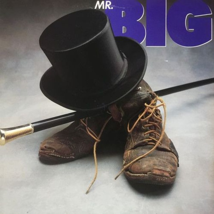 Mr. Big - Mr. Big -blue- (LP)