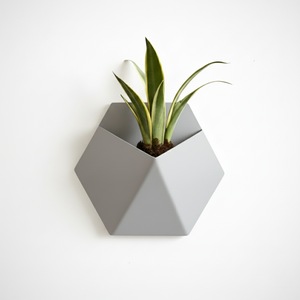 Ghivece si suporturi