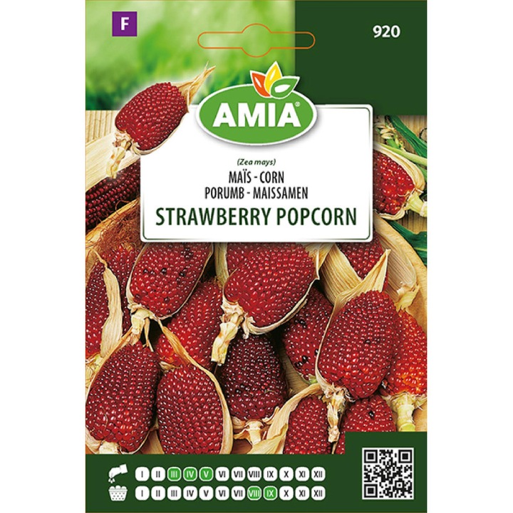 Seminte de porumb popcorn Strawberry Pop Corn AMIA 6, 5 g