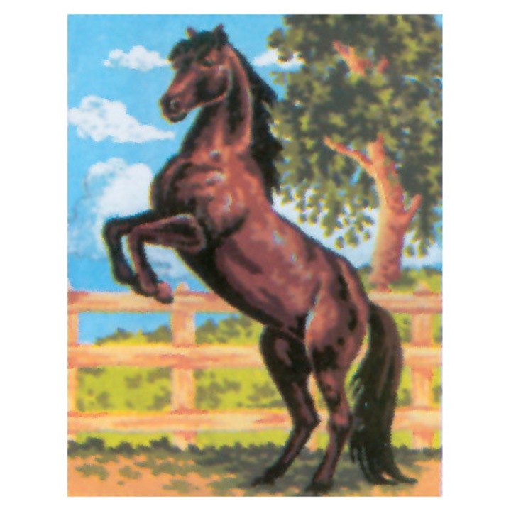 Goblen imprimat pe panza fara ate Collection D`Art "Armasar negru" 14x18 cm