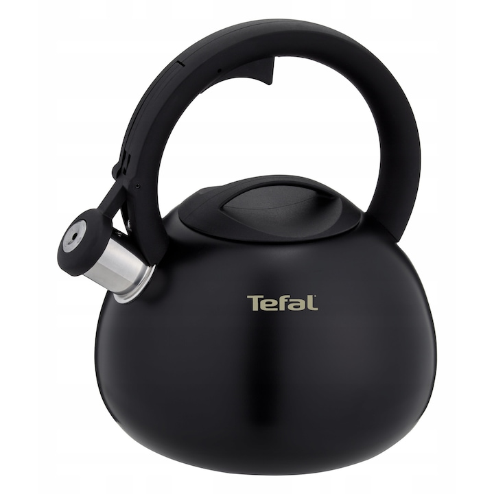 Традиционен чайник Tefal, 2,5л, матиран инокс, съвместим с газ, индукция, със свирка