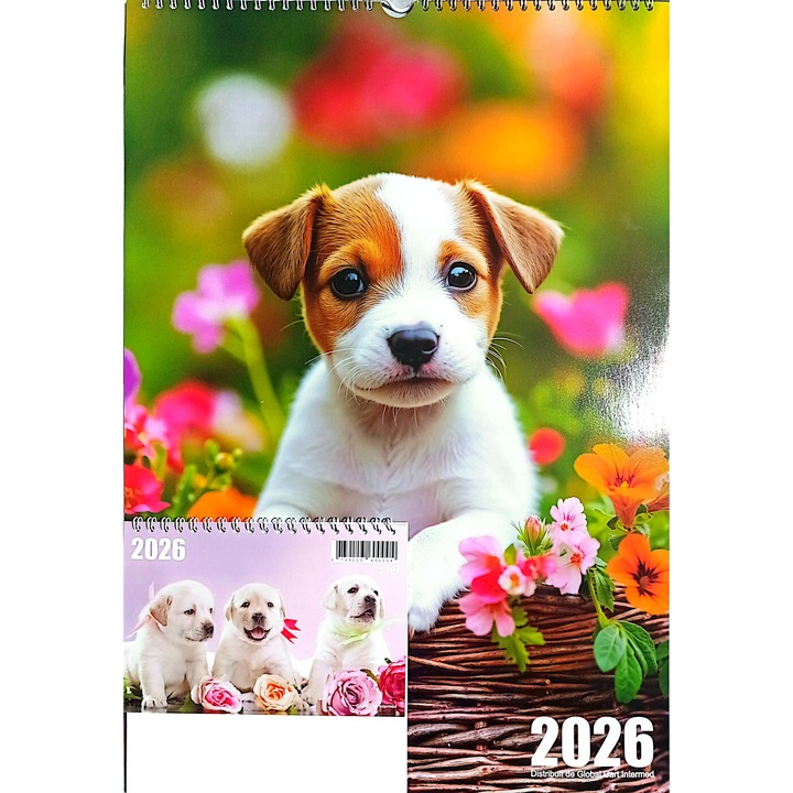 Set Calendare 2026, Librarus Publishing, Model Catei, A3 + Birou