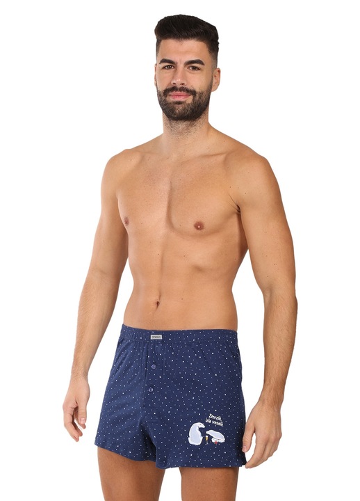 Boxeri barbatesti Andrie, albastru, 100% bumbac, croiala clasica