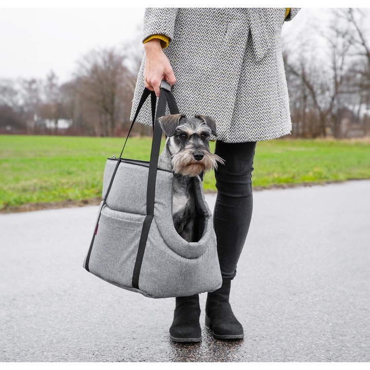 BoutiqueZOO, Geanta de transport pentru animale de companie, caini si pisici, M 38x28x28 cm, lenjerie gri
