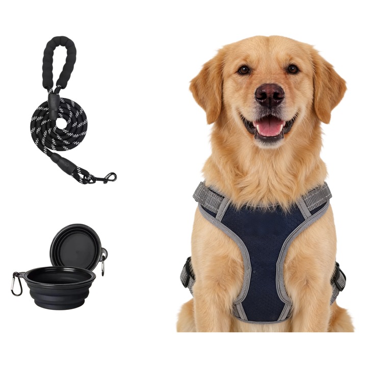 Set Ham Si Lesa Pentru Caine, S, 1.5m, Design reflectorizant, Ajustabil, Catarame eliberare rapida, Din plasa respirabila, Rezistenta, Pentru dresaj, calatorii sigure pe timp de noapte, Nailon, Albastru marin