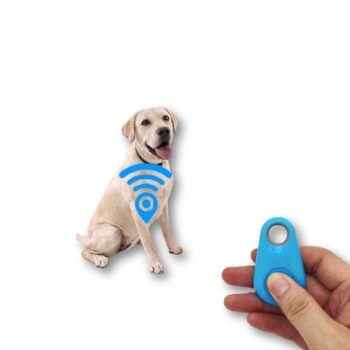AirTag háziállatoknak, kék