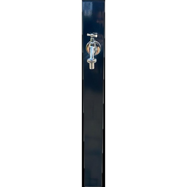 Cismea pentru gradina, gri antracit, 2 robineti, vopsit electrostatic, EKXON TECHNOLOGY