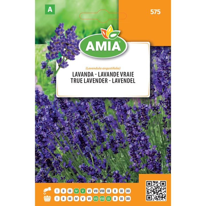 Seminte de lavanda 0, 1 gr