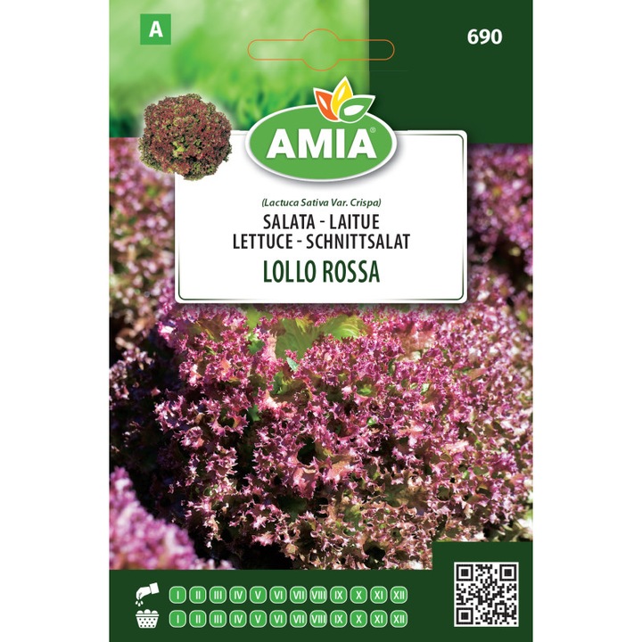 Seminte de salata Lollo Rossa 2 gr Amia