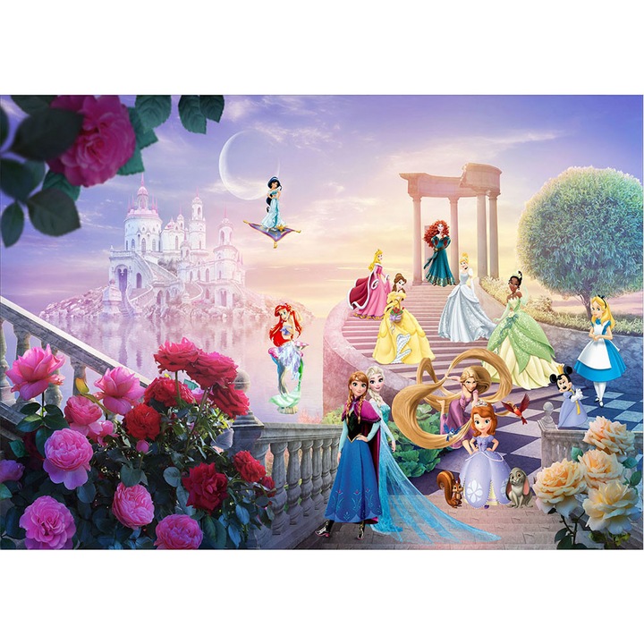 Fototapet Copii, autoadeziv, Printese Disney, multicolor,80x120 cm CO431