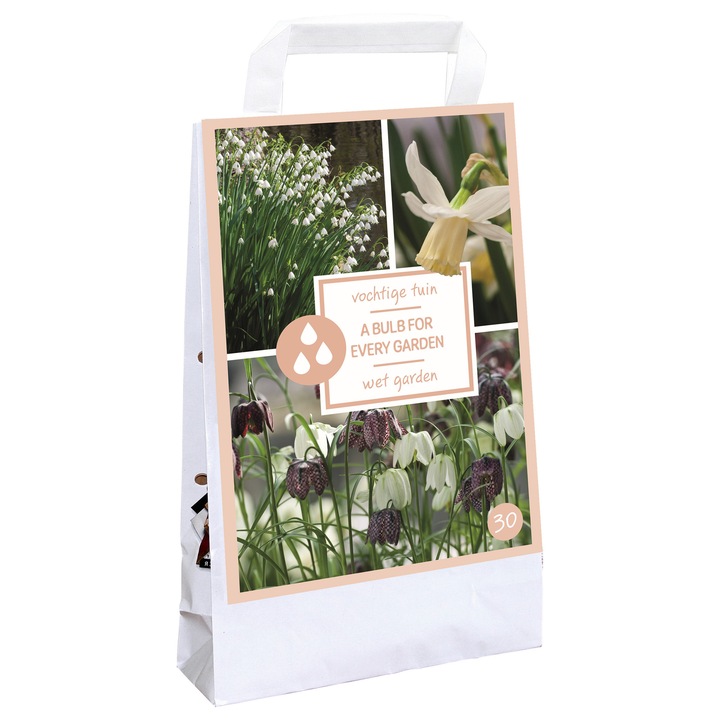 Луковици на цветя, A Bulb for Every Garden - Wet Garden, Jub, 30 бр