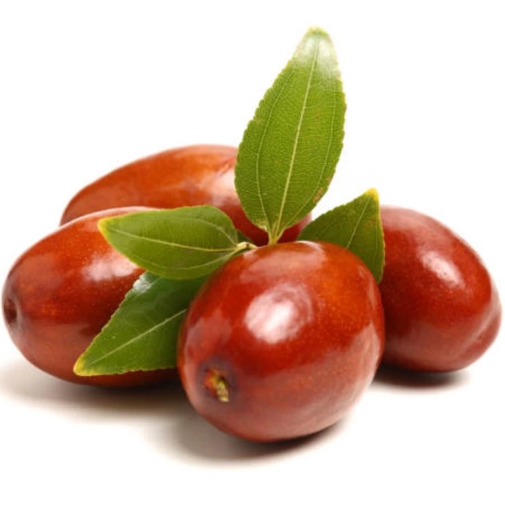 Curmal Chinezesc Lang, Ziziphus Jujuba, ghiveci 3.6L, H 30-50 cm