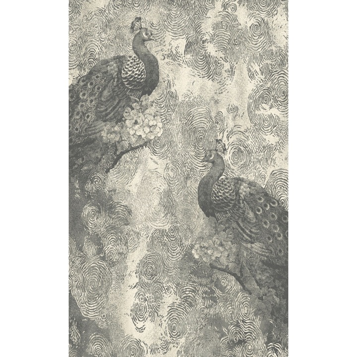 Covor Lana Agnella PAVIO 200x300 cm Gri - Colectia REGIUS