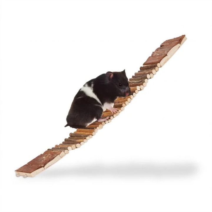 Гризачи на висящ мост