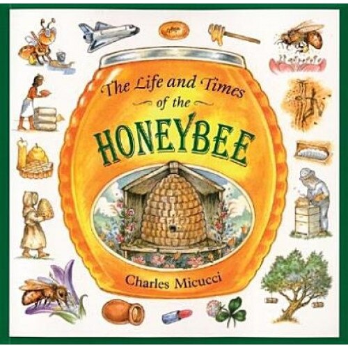 The Life and Times of the Honeybee, Charles Micucci