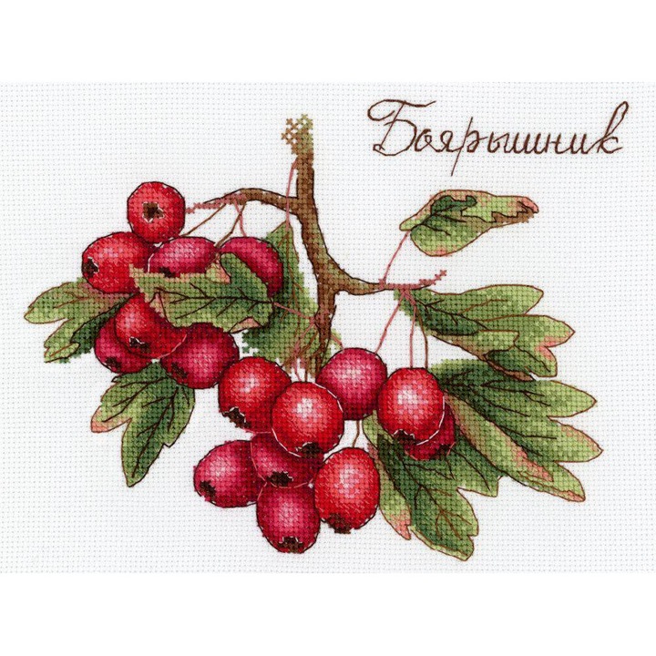 MP Studia keresztszemes hímzőkészlet "Erdei gyümölcsök" 20x15 cm