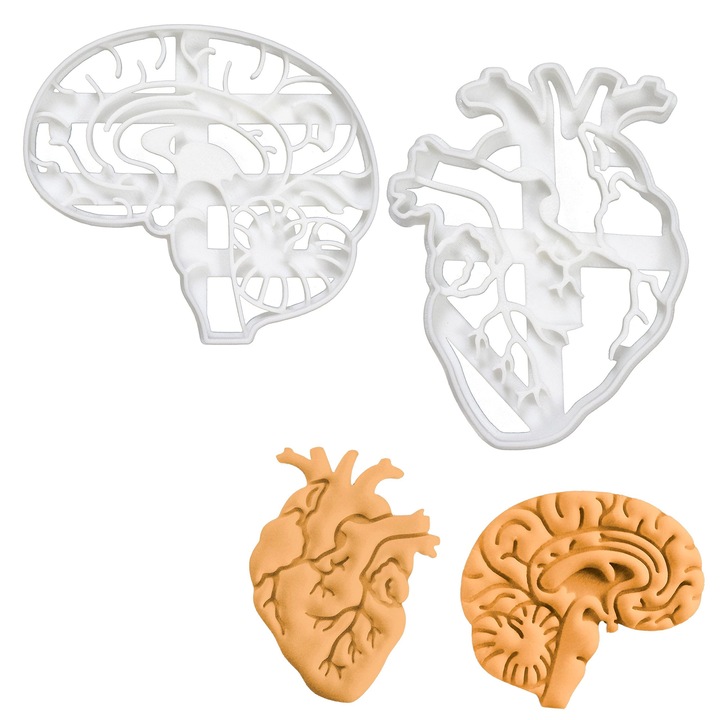 Set de 2 forme de biscuiți anatomice, creier și inimă, plastic