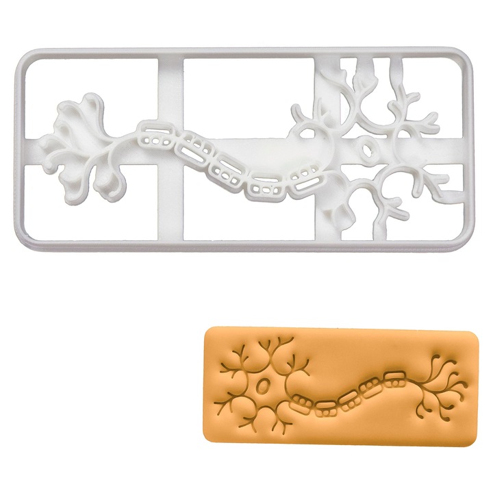 Forma de Biscuiti Neuron, 1 Bucata, Bakerlogy