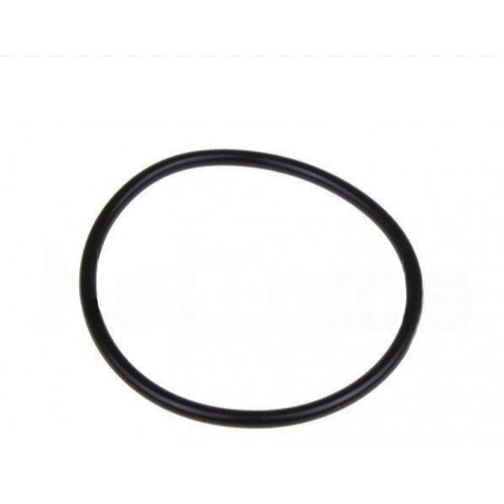 Saeco - О-пръстен за бойлер - 167 от EPDM 70 SH - DM0041082